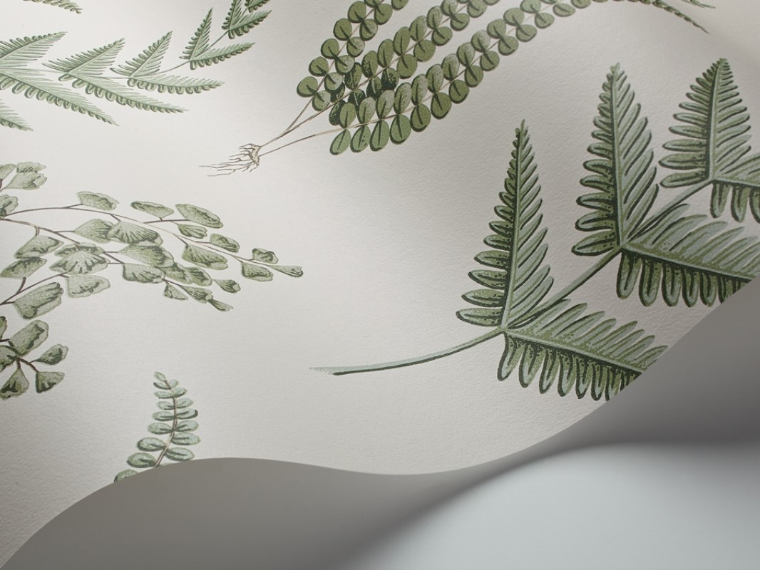 Picture of Herba - 4021