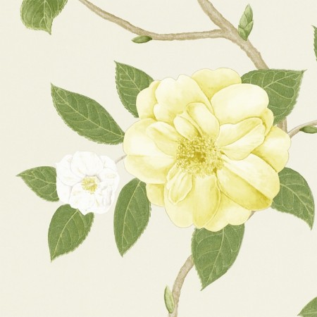 Picture of Christabel Yellow/Ivory - 213377