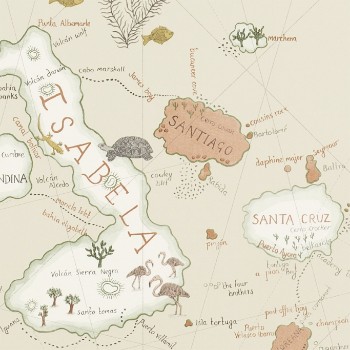 Picture of Galapagos Parchment - 213362