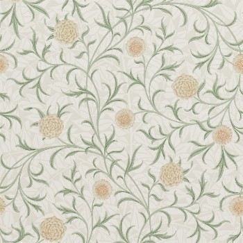 Picture of Scroll Thyme/Pear - 210365