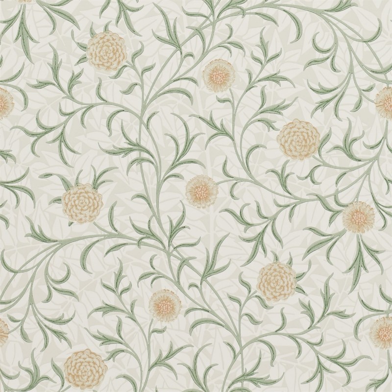 Picture of Scroll Thyme/Pear - 210365