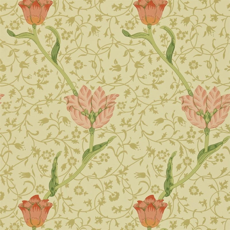 Afbeeldingen van Garden Tulip Vanilla/Russet - WM8552/2