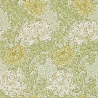 Afbeeldingen van Chrysanthemum Pale Olive - 212545