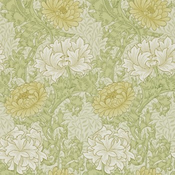 Bild på Chrysanthemum Pale Olive - 212545