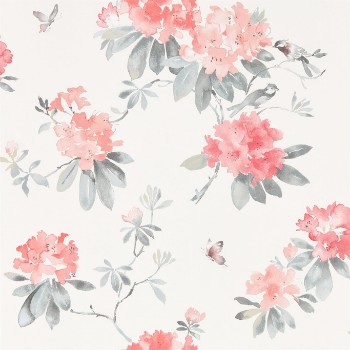 Bild på Rhodera Coral/Grey - 216264