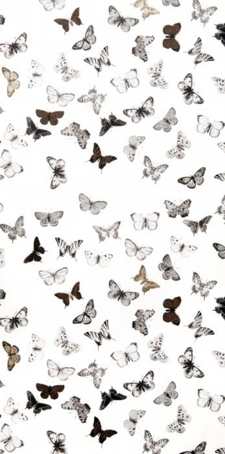 Picture of Butterfly White/Black - WP1094