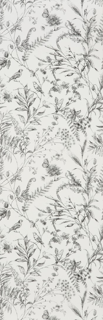 Picture of FERN TOILE - Etched Black - PRL710/04