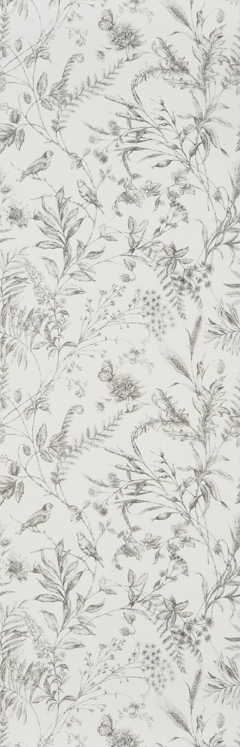 Picture of FERN TOILE - Pencil - PRL710/03