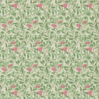 Picture of Arbutus Olive/Pink - DM3W214720