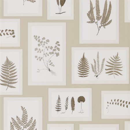 Picture of Fern Gallery Linen/Sepia - DWOW215714