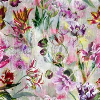 Picture of TULIPA STELLATA FUCHSIA - PDG1037/01