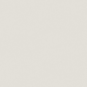 Picture of Concrete Grey - 4867
