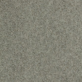 Picture of Shagreen - 312907