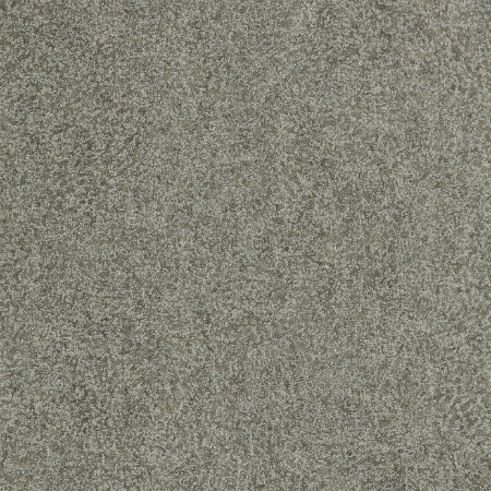 Picture of Shagreen - 312907