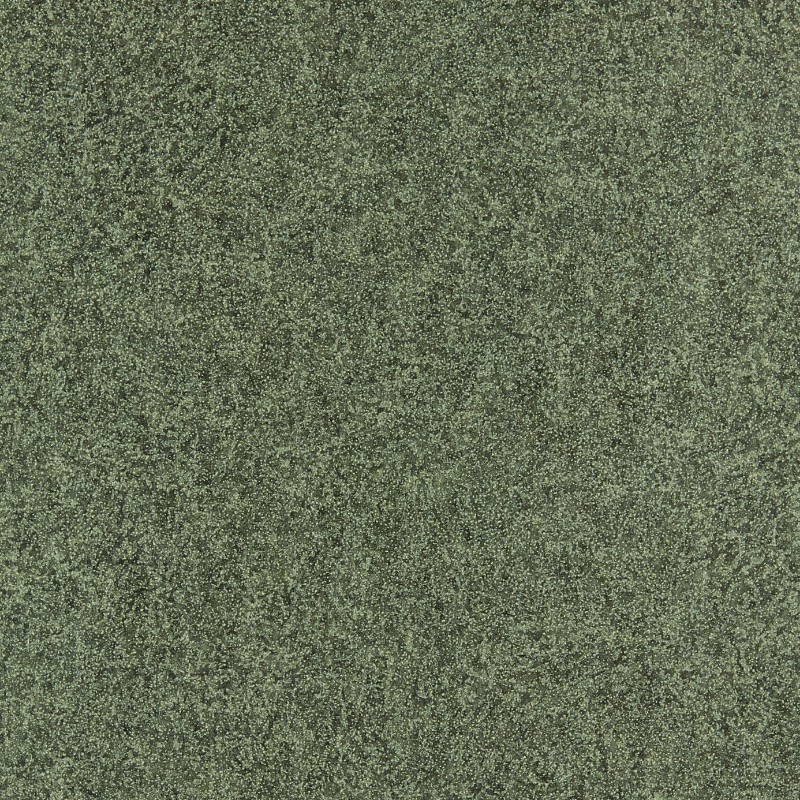 Picture of Shagreen - 312905