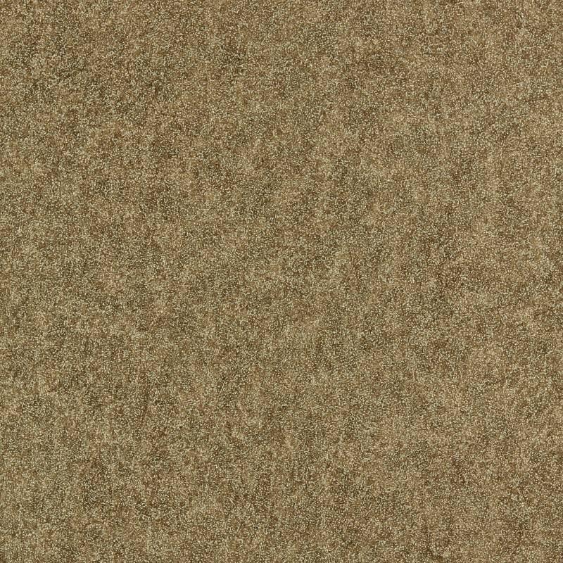 Picture of Shagreen - 312904