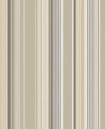 Picture of Stripes+ - 377110
