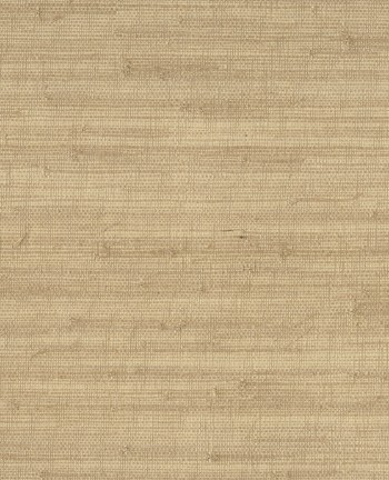 Picture of Natural Wallcoverings II - 389531