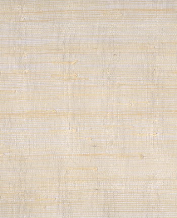 Picture of Natural Wallcoverings II - 389519