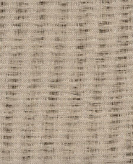 Picture of Natural Wallcoverings II - 389509