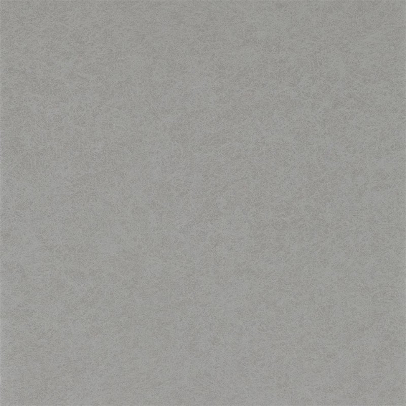 Bild på Shellac - EREE110782