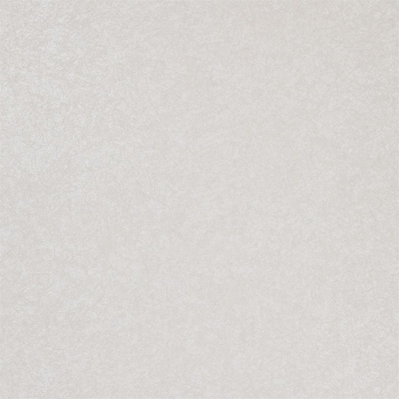 Bild på Shellac - EREE110781