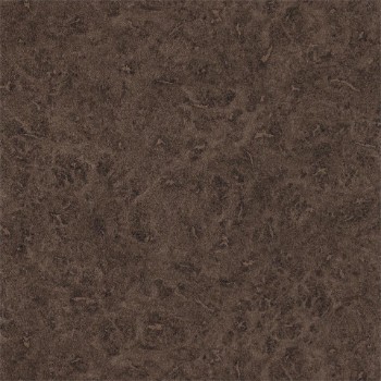 Picture of Lacquer - EANT111133