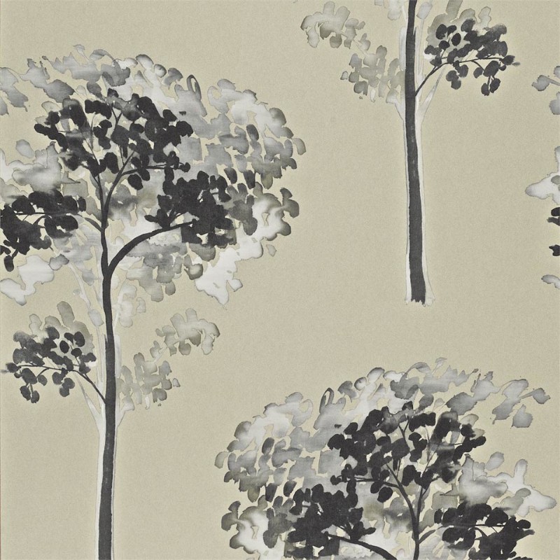 Picture of Katsura - HMOW110889