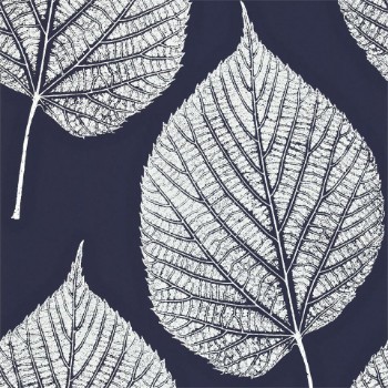 Picture of Leaf - HMOT110371