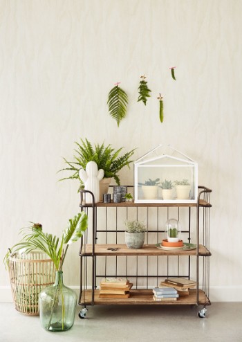 Picture of Geonature - 366008