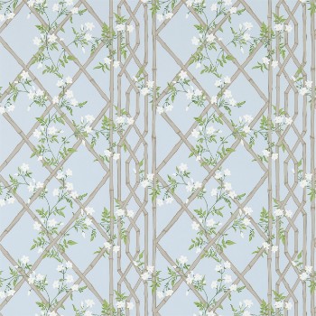 Picture of Jasmine Lattice - ZWOO311332