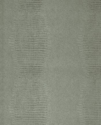 Picture of Skin - 300574