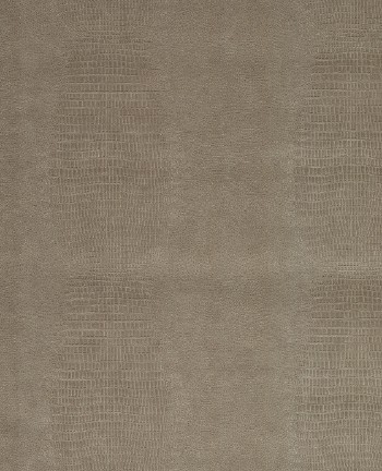 Picture of Skin - 300570