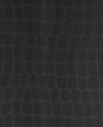 Picture of Skin - 300563