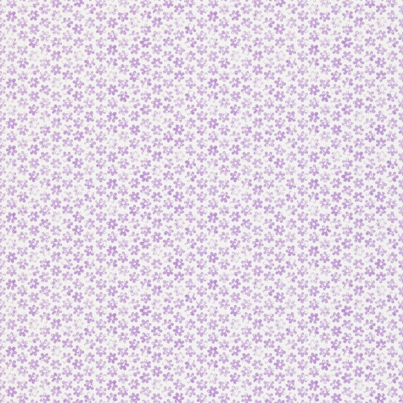 Picture of Ditsy Daisy - HKID110552