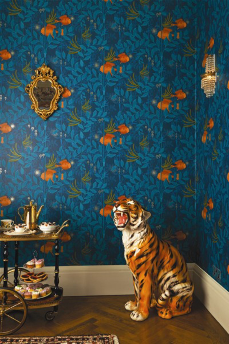 Picture of Nautilus - 103/4019