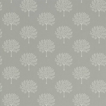 Picture of Marcham Tree Grey Birch - 216901