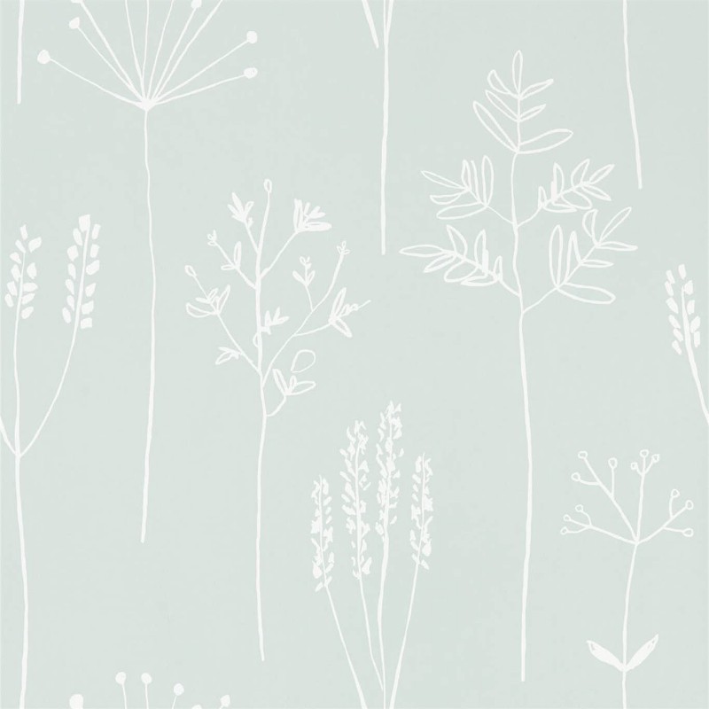 Picture of Stipa - 112020