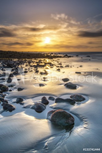 Picture of Compaeras