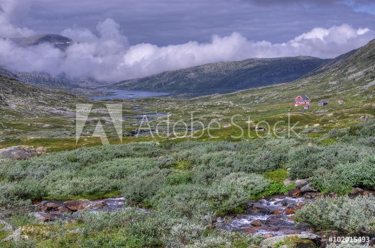 Bild på Hardangervidda