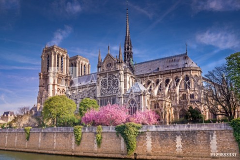 Picture of Notre-dame