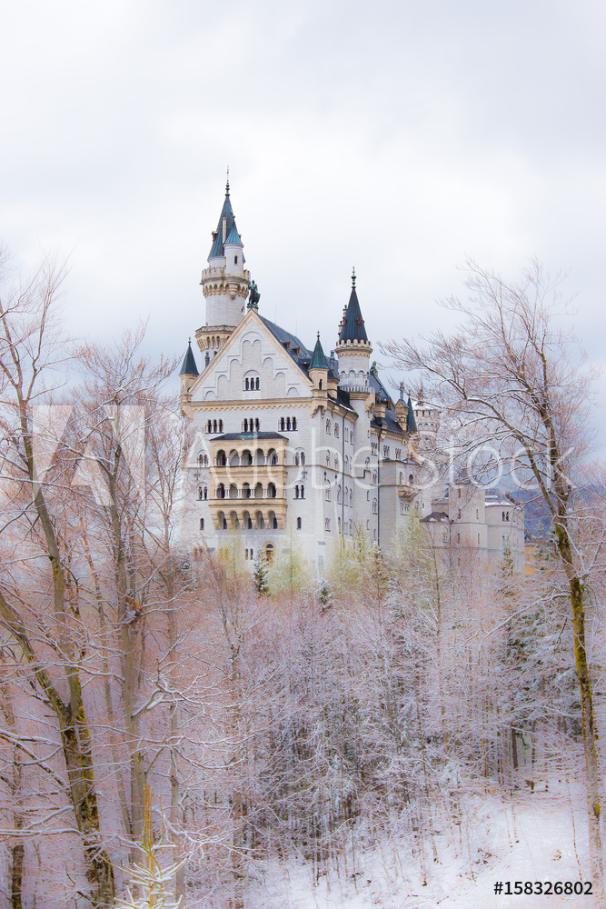 neuschwanstein castle in winter munich valmistajalta Valokuvatapetit |  Kotitapetti