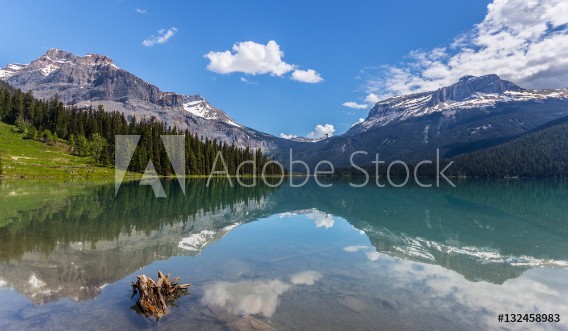 Picture of Yoho-01
