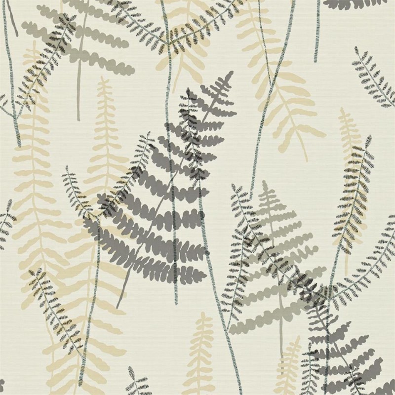 Image de Athyrium - NMEL110212