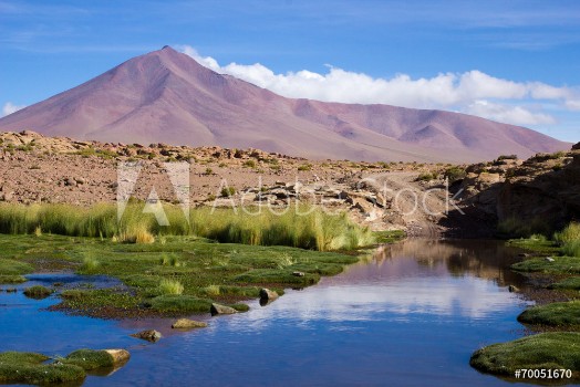 Picture of Bolivia