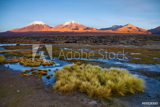 Picture of Altiplano