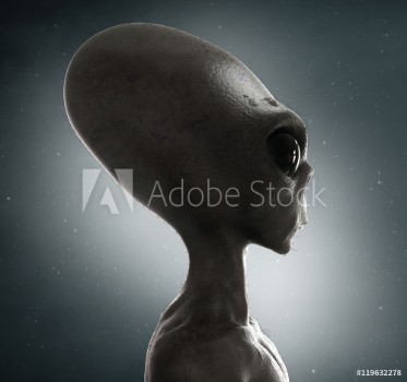 Picture of alien