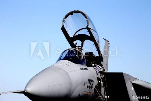 Picture of F-15