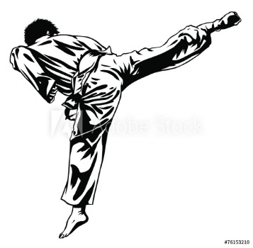 Picture of Taekwon-do