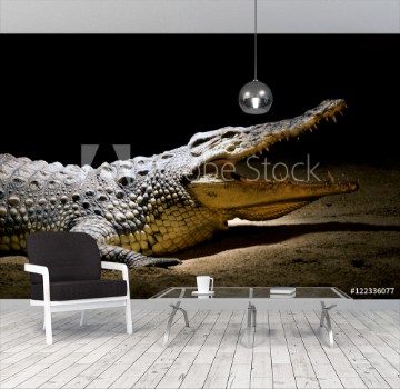 Bild på Crocodile